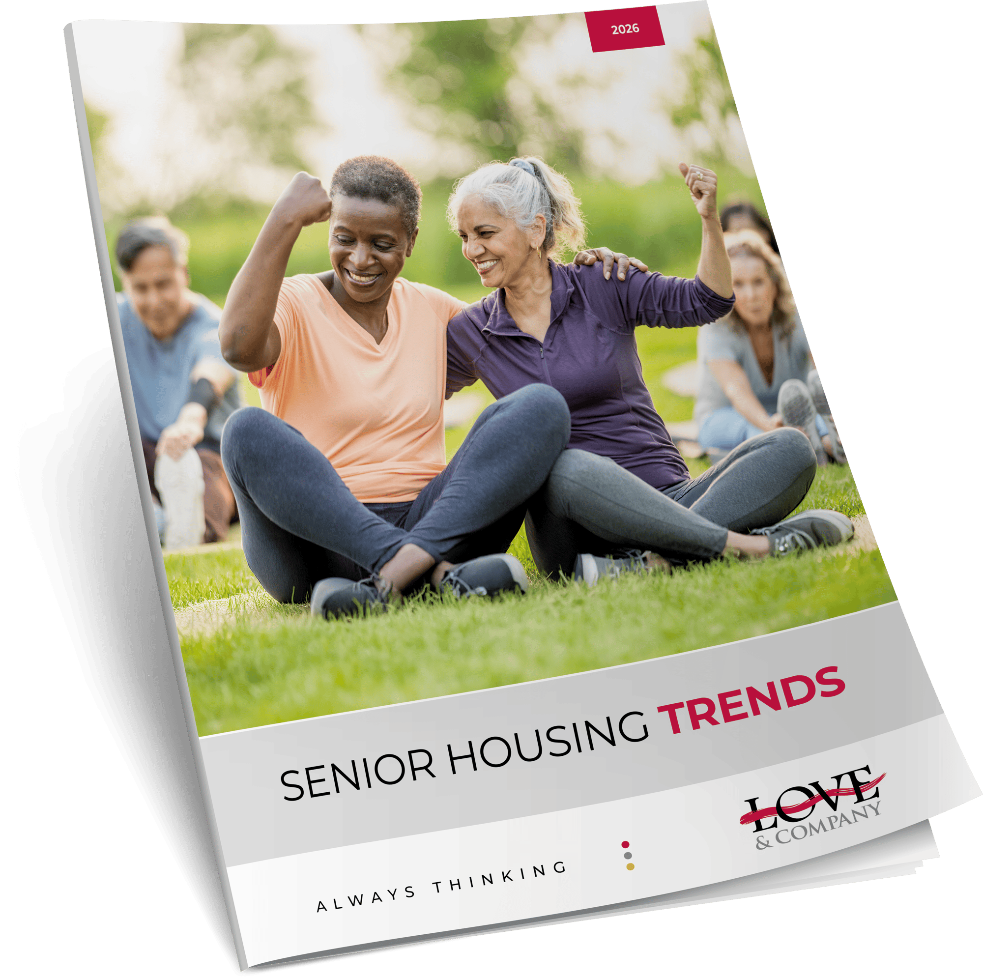 LI-955_Info_Kit_MOCKUP